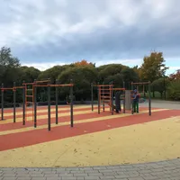 Calisthenics Park at Черневская улица, Москва - thumbnail 1