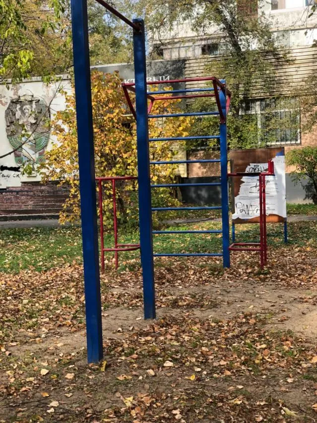 Klimmzugstange bei Calisthenics Park at Молдавский переулок, Хабаровск – Foto 5 von 6