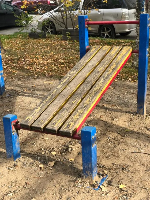 Calisthenics Park at Молдавский переулок, Хабаровск