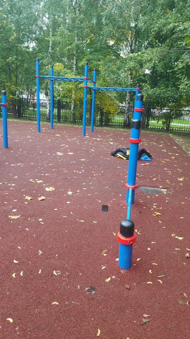Calisthenics Park at Городецкая улица, Череповец