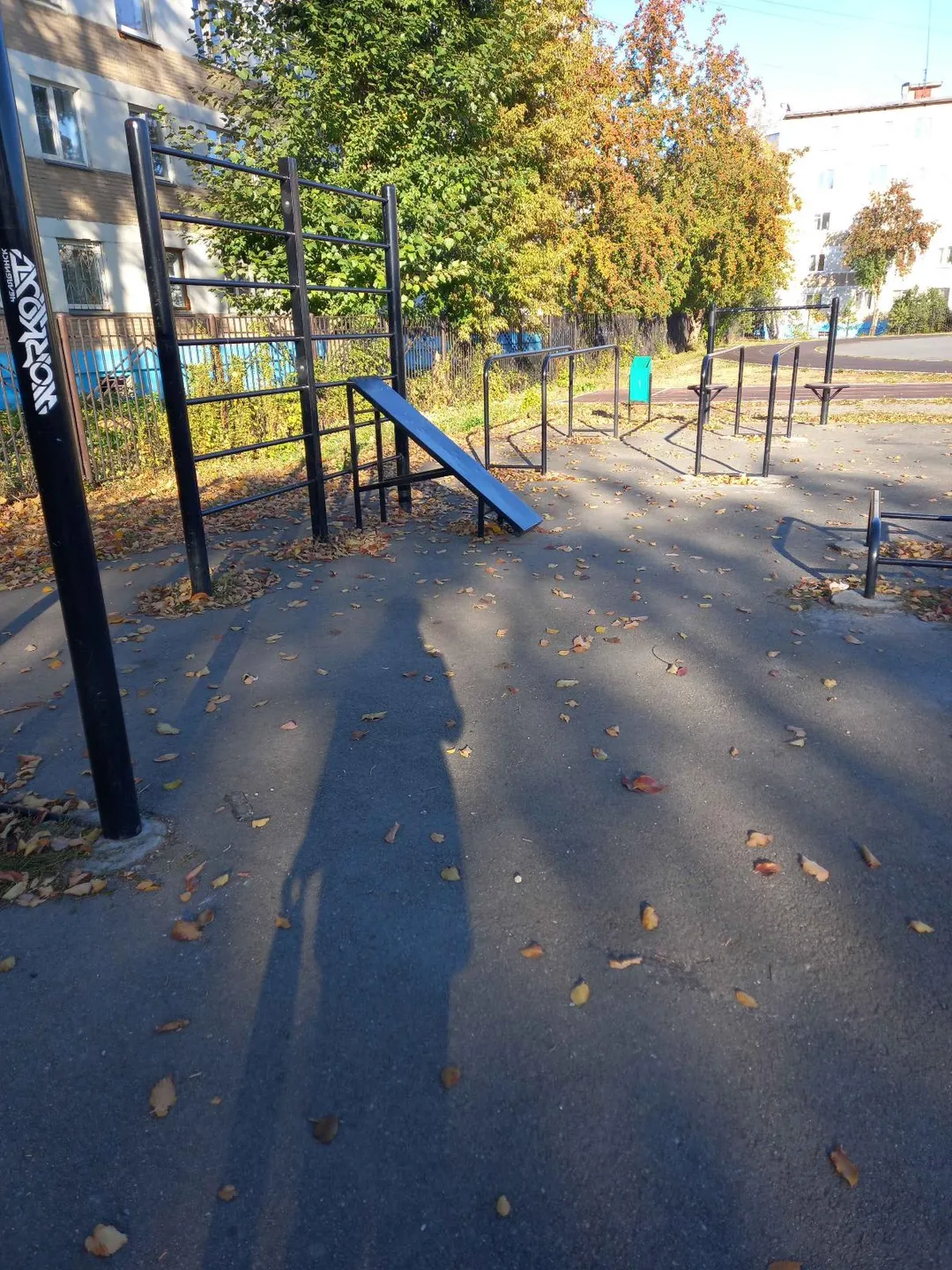 Spalier la Calisthenics Park at улица Куйбышева, Челябинск – fotografia 4 din 6