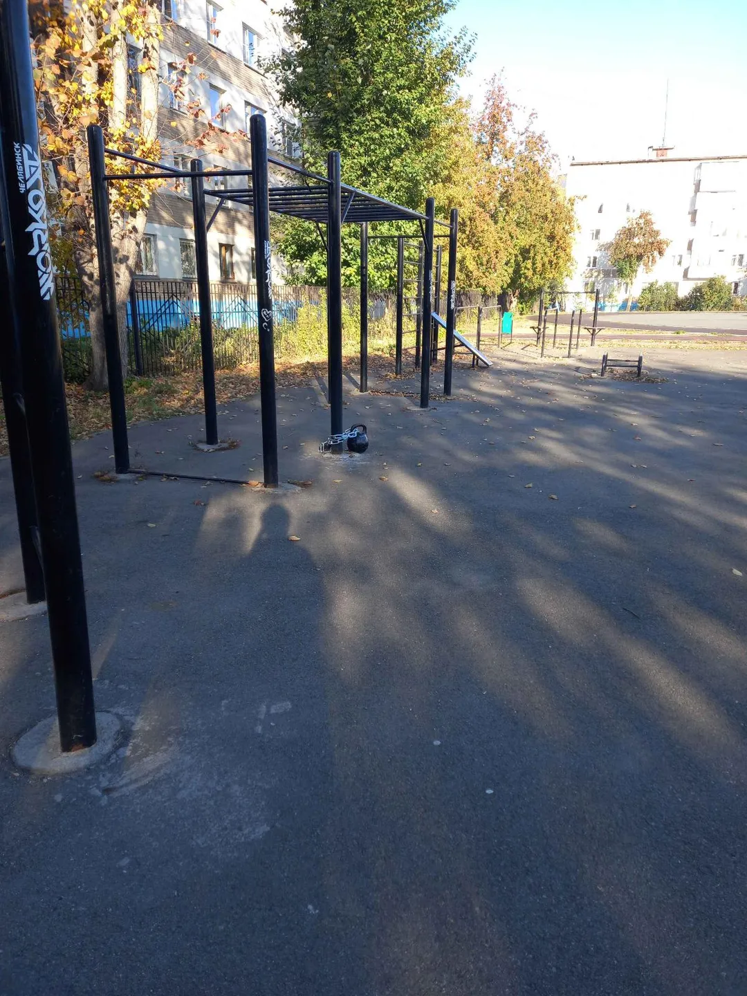 Monkey Bars la Calisthenics Park at улица Куйбышева, Челябинск – fotografia 3 din 6