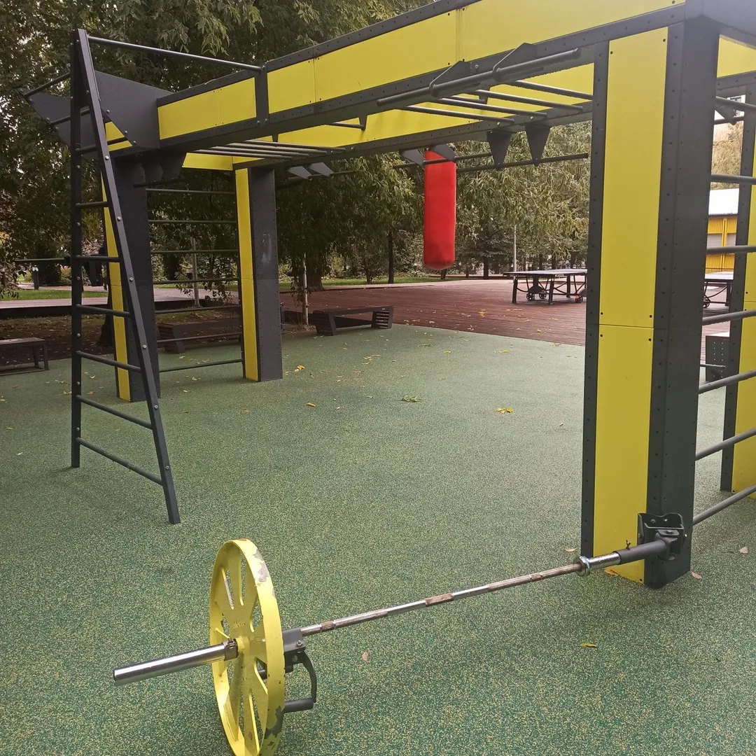 Шведська стінка на майданчику Calisthenics Park at Басманный тупик, Москва – фото 4 з 4