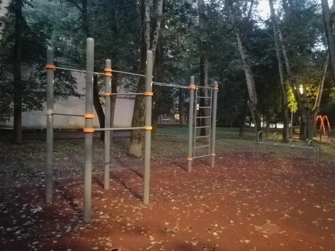 Bară de tracțiuni la Calisthenics Park at улица Гришина, Москва – fotografia 1 din 2