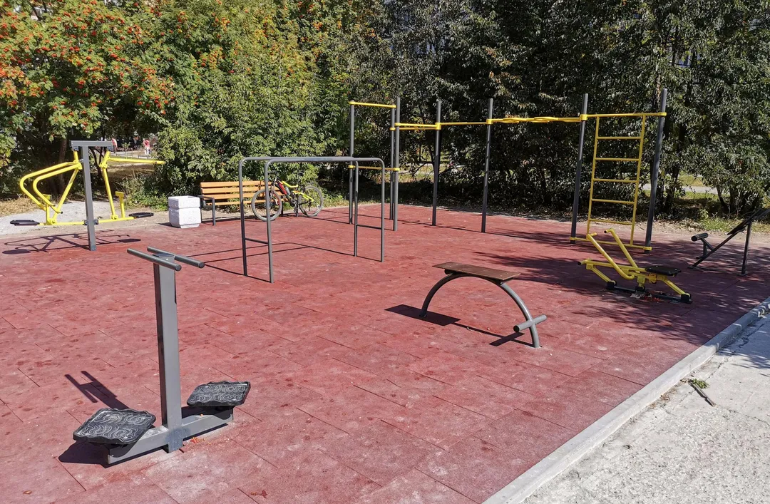 Wall Bars at Calisthenics Park at Полевая улица, городской округ Новосибирск – photo 3 of 4