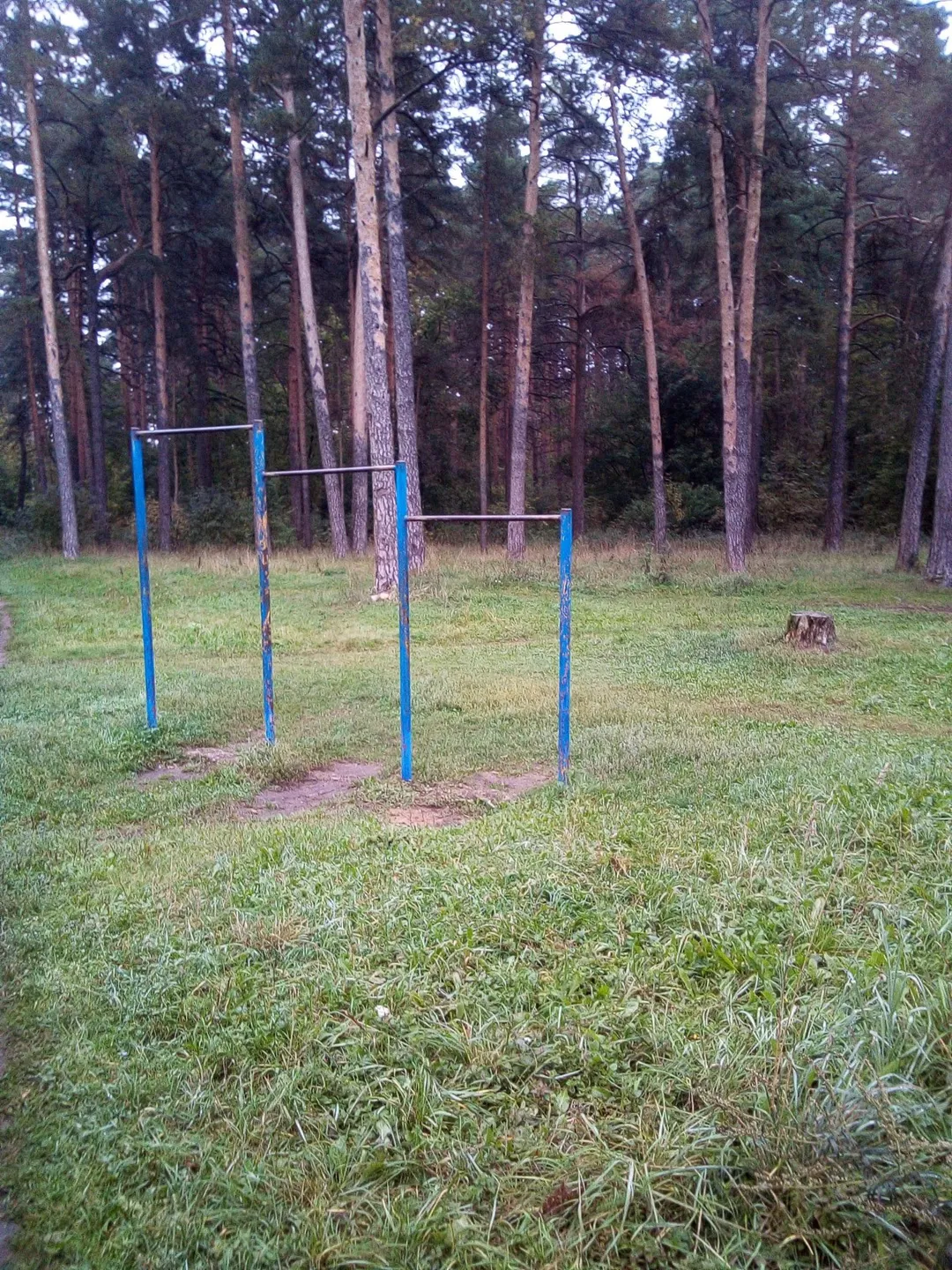 Sbarra per trazioni presso Calisthenics Park at улица Маршала Конева, городской округ Тверь – foto 3 di 3