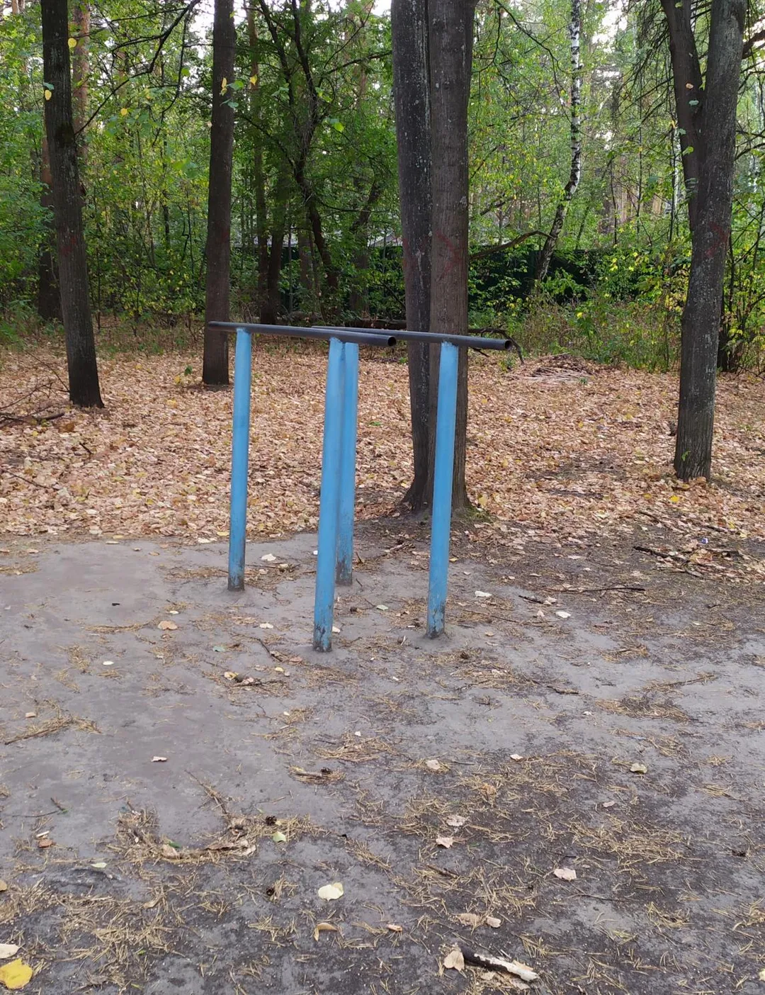 Pull Up Bar at Calisthenics Park at Судоремонтная улица, Тюмень #wp2986 – photo 1 of 2