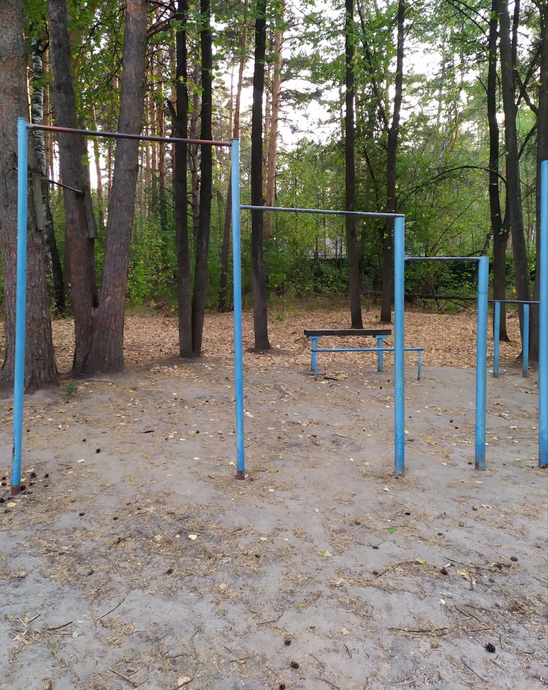 Push Up Bar at Calisthenics Park at Судоремонтная улица, Тюмень #wp2986 – photo 2 of 2