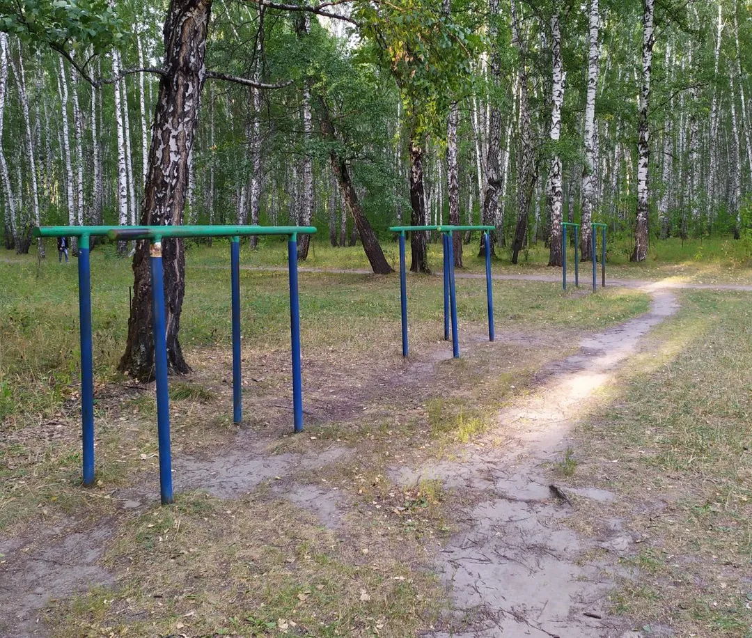 Pull Up Bar at Calisthenics Park at улица Дружбы, Тюмень – photo 1 of 2