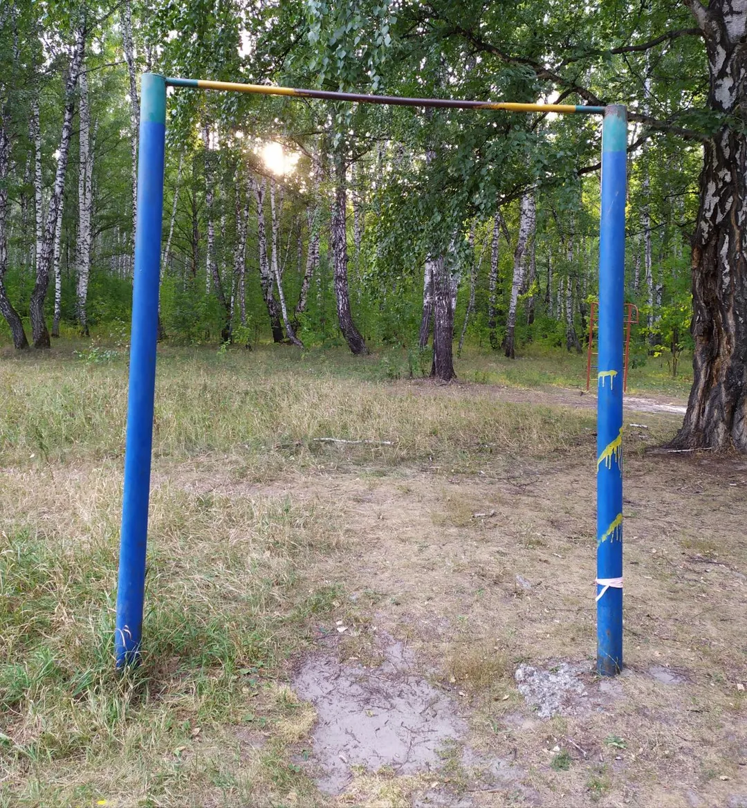Parallel Gym Bars at Calisthenics Park at улица Дружбы, Тюмень – photo 2 of 2