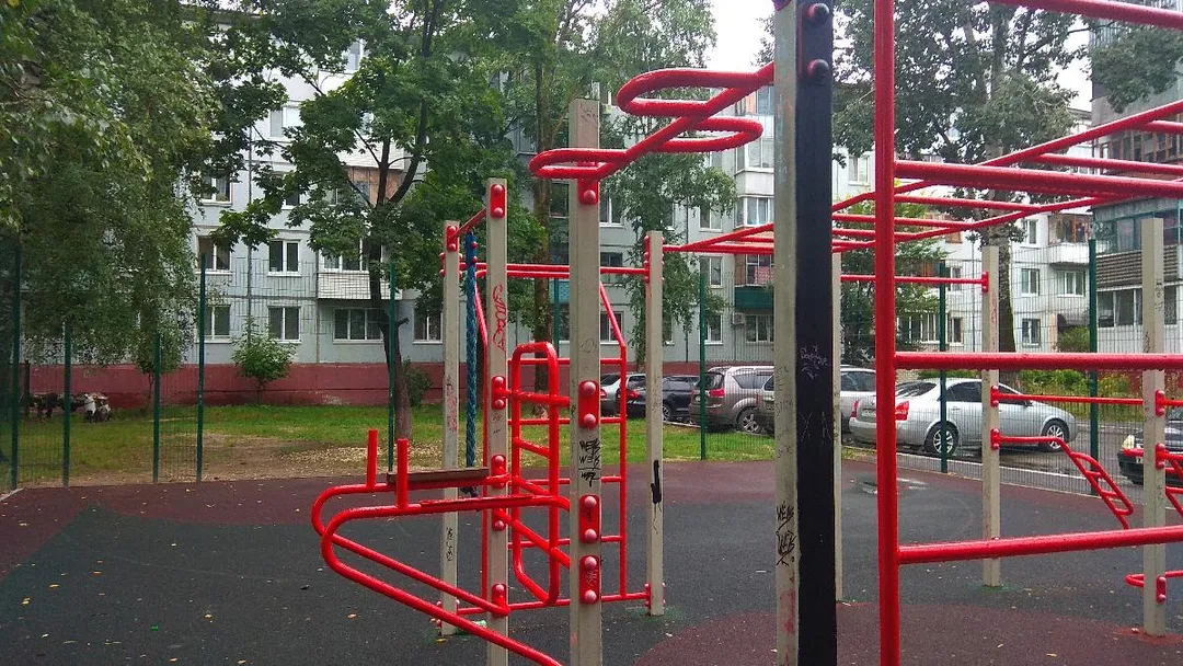 Monkey Bars at Calisthenics Park at Орловская улица, Брянск – photo 3 of 6