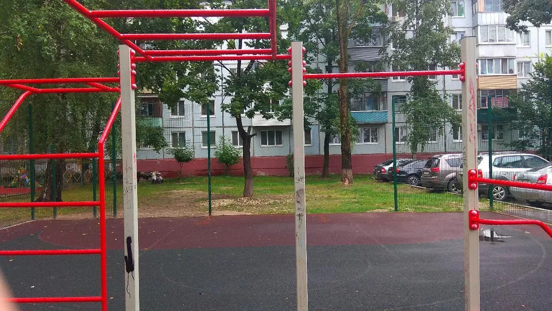 Pull Up Bar at Calisthenics Park at Орловская улица, Брянск – photo 1 of 6