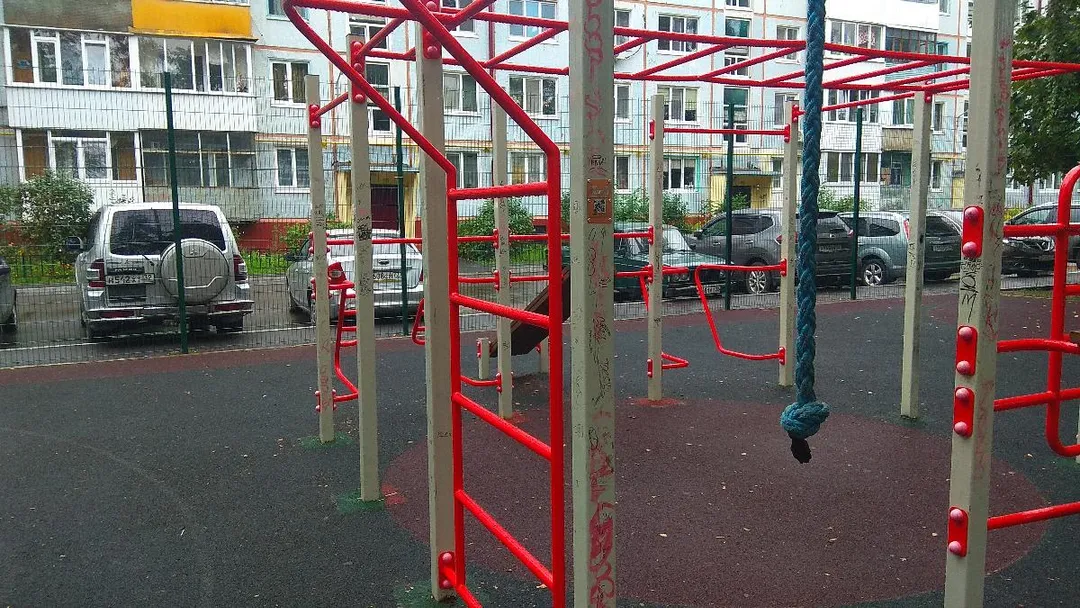 Wall Bars at Calisthenics Park at Орловская улица, Брянск – photo 4 of 6