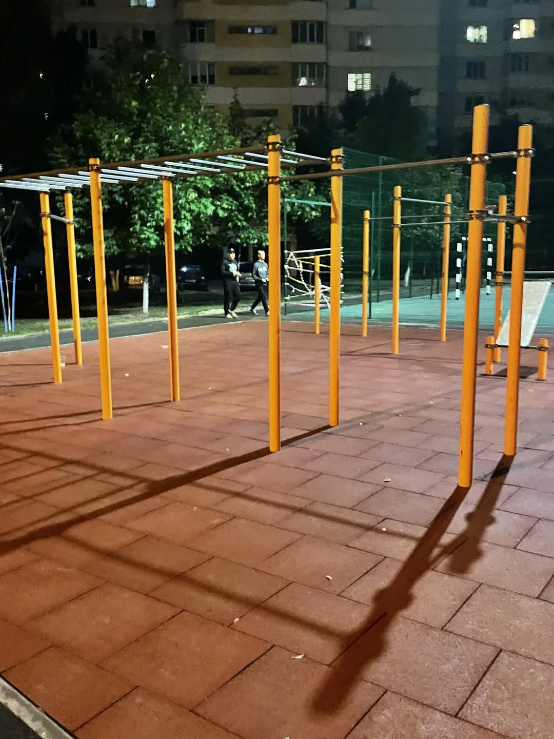 Wall Bars at Calisthenics Park at Рэчыцкі праспект, Гомель – photo 4 of 8