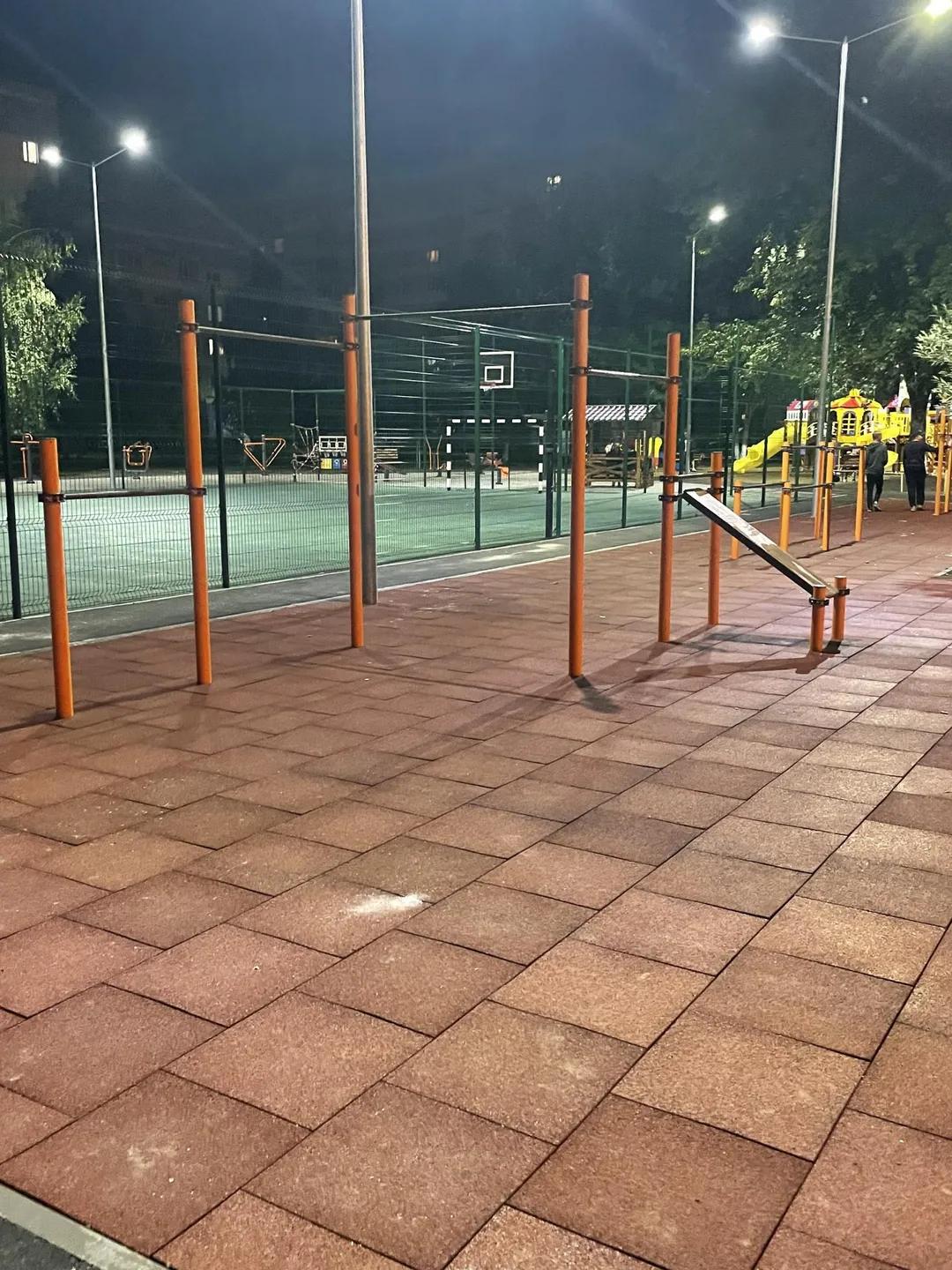 Monkey Bars at Calisthenics Park at Рэчыцкі праспект, Гомель – photo 3 of 8