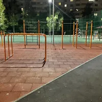 Calisthenics Park at Рэчыцкі праспект, Гомель - thumbnail 8