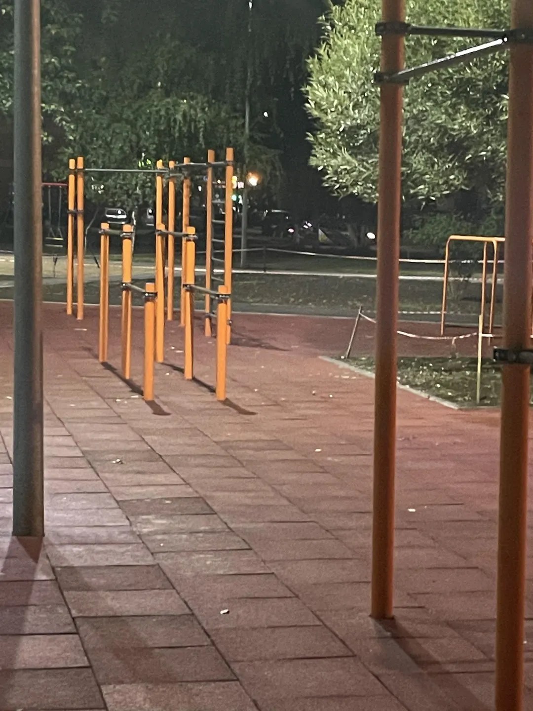 Parallel Gym Bars at Calisthenics Park at Рэчыцкі праспект, Гомель – photo 2 of 8