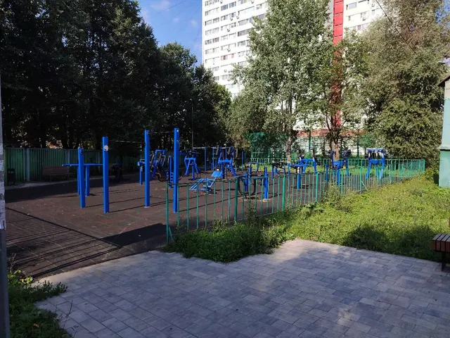 Calisthenics Park at Академическая площадь, район Троицк
