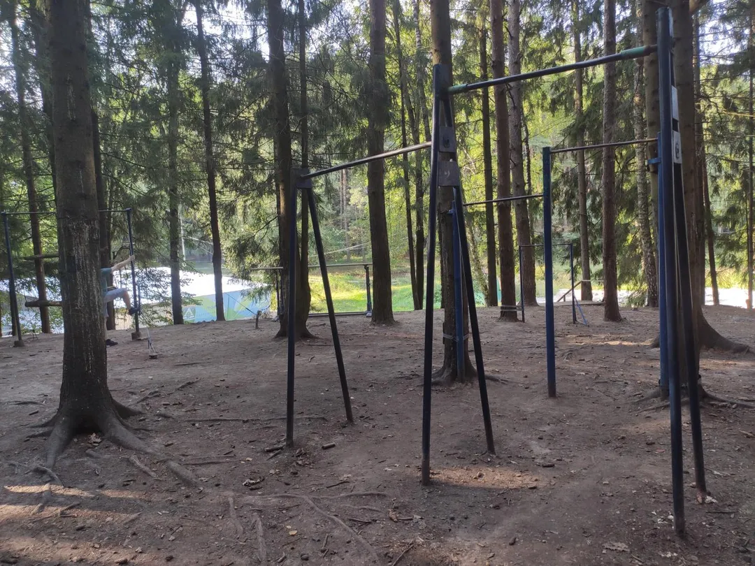 Pull Up Bar at Calisthenics Park at 2 км, район Троицк – photo 1 of 1