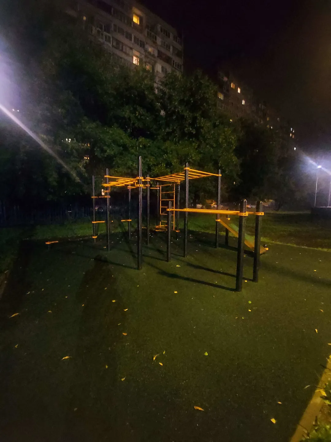 Упори для віджимань на майданчику Calisthenics Park at Норильская улица, Москва – фото 2 з 2