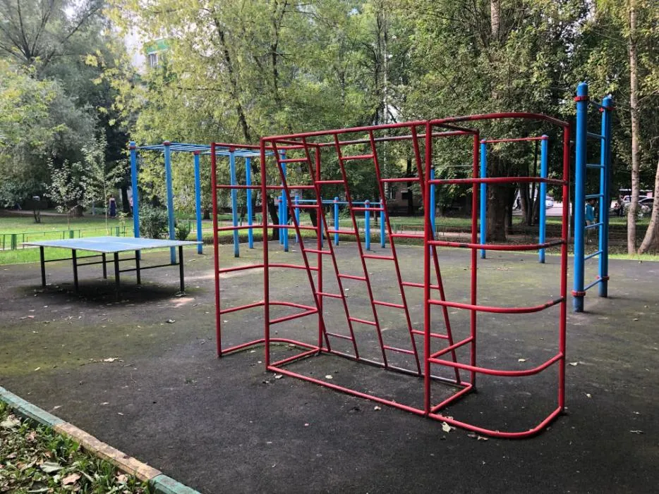 Турнік на майданчику Calisthenics Park at улица Медиков, Москва – фото 1 з 3