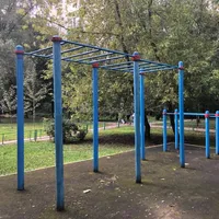 Calisthenics Park at улица Медиков, Москва - thumbnail 2