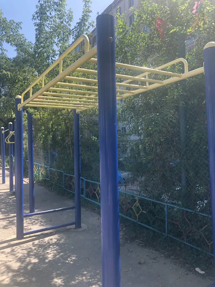 Monkey bar presso Calisthenics Park at Верхнеудинская улица, Хабаровск – foto 9 di 9