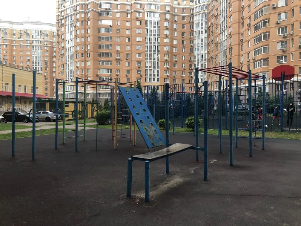 Parallel Gym Bars at Calisthenics Park at проектируемый проезд № 6630, Москва – photo 2 of 4