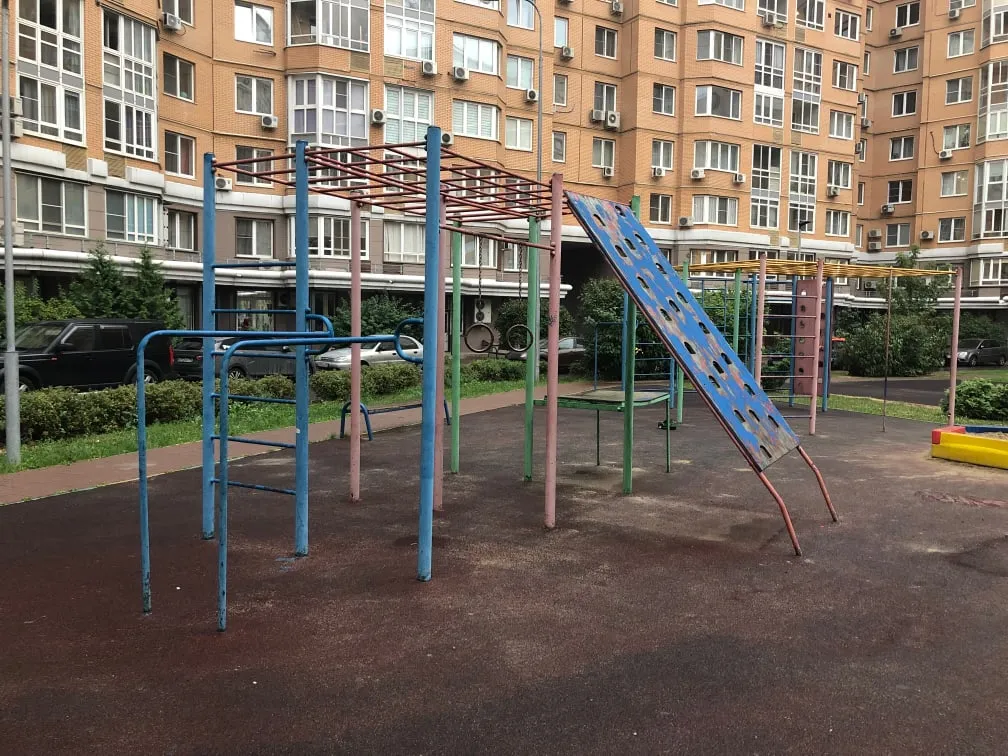 Wall Bars at Calisthenics Park at проектируемый проезд № 6630, Москва – photo 4 of 4