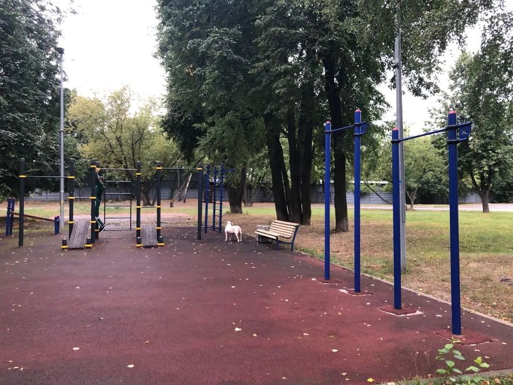 Monkey Bars la Calisthenics Park at Михневская улица, Москва – fotografia 3 din 3