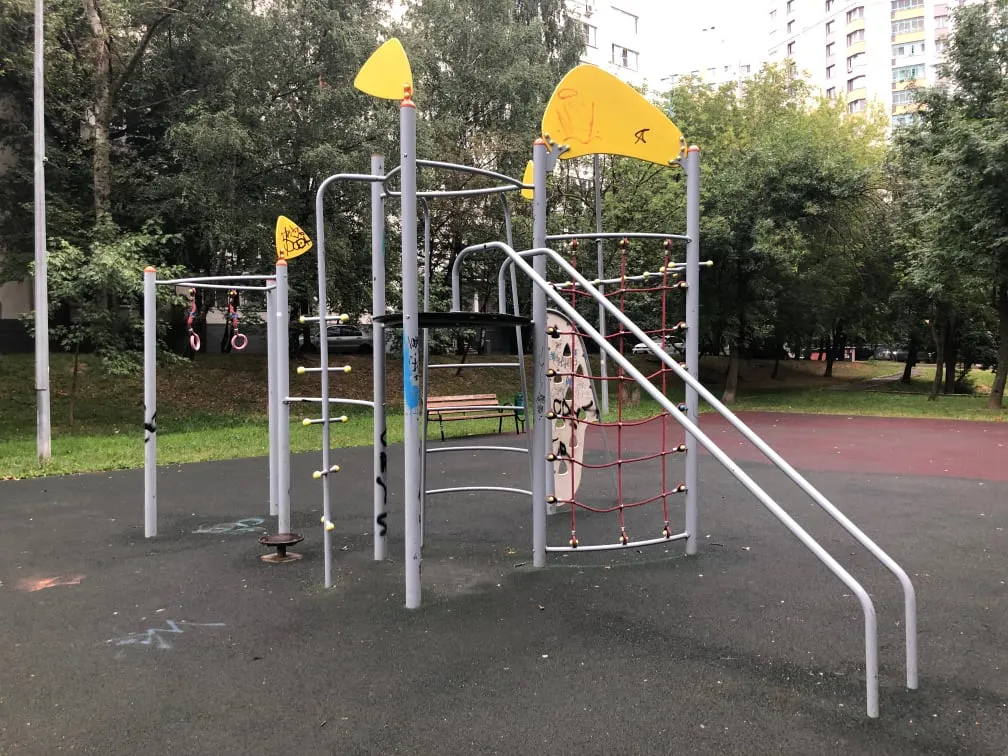 Gymnastic Rings at Calisthenics Park at Бирюлёвская улица, Москва #wp3038 – photo 3 of 3