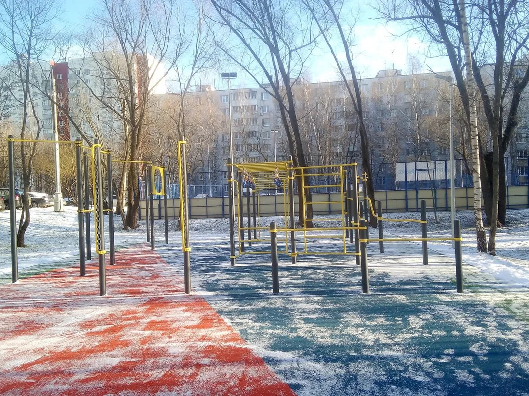 Monkey Bars at Calisthenics Park at Голубинская улица, Москва – photo 11 of 12