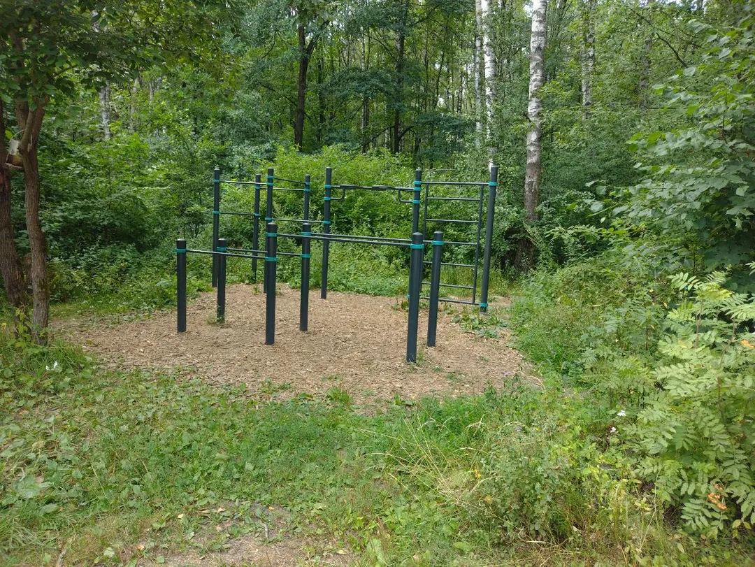 Sbarra per trazioni presso Calisthenics Park at Волковское шоссе, Мытищи – foto 1 di 3