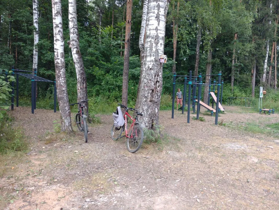 Monkey bar presso Calisthenics Park at Волковское шоссе, Мытищи – foto 3 di 3