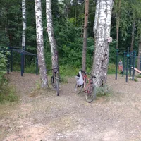 Calisthenics Park at Волковское шоссе, Мытищи - thumbnail 3