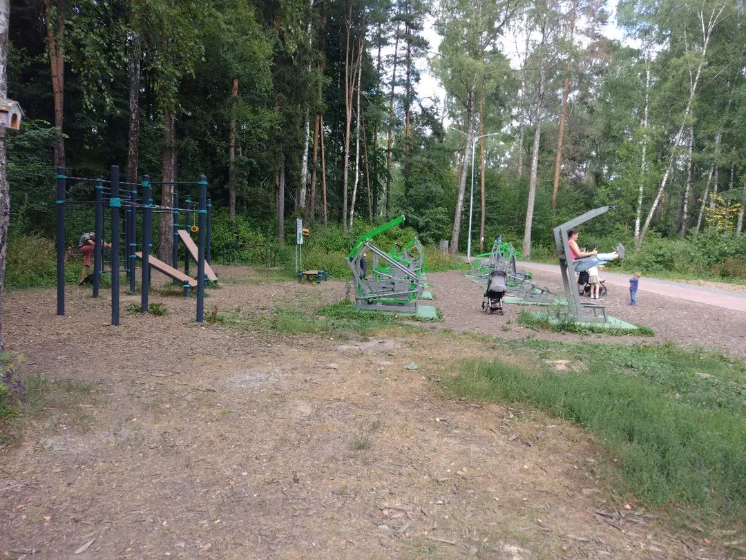 Parallele presso Calisthenics Park at Волковское шоссе, Мытищи – foto 2 di 3