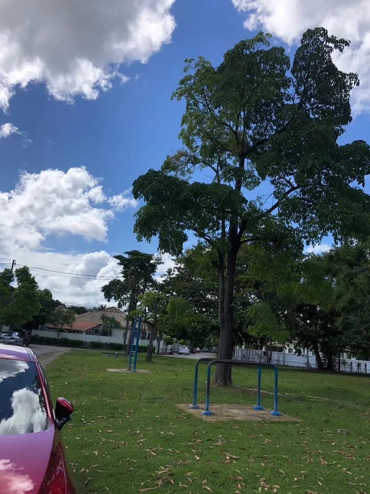 Брусья на площадке Outdoor Gym #wp3051 in ตำบลฉลอง – фото 2 из 3
