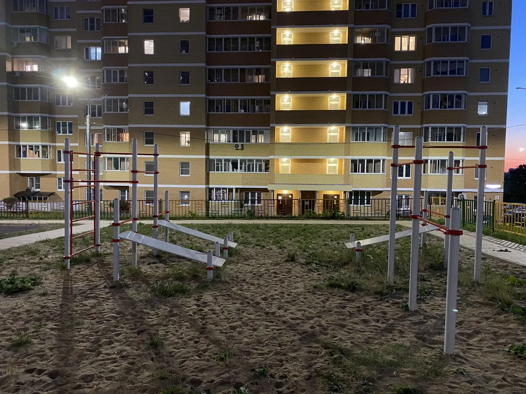 Monkey Bars at Calisthenics Park at улица Генерала Маргелова, Тула #wp3054 – photo 2 of 3