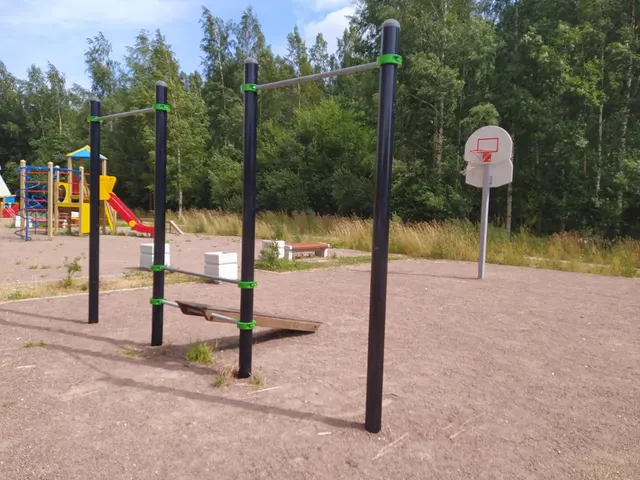 Calisthenics Park at Капральская улица, Новое Девяткино