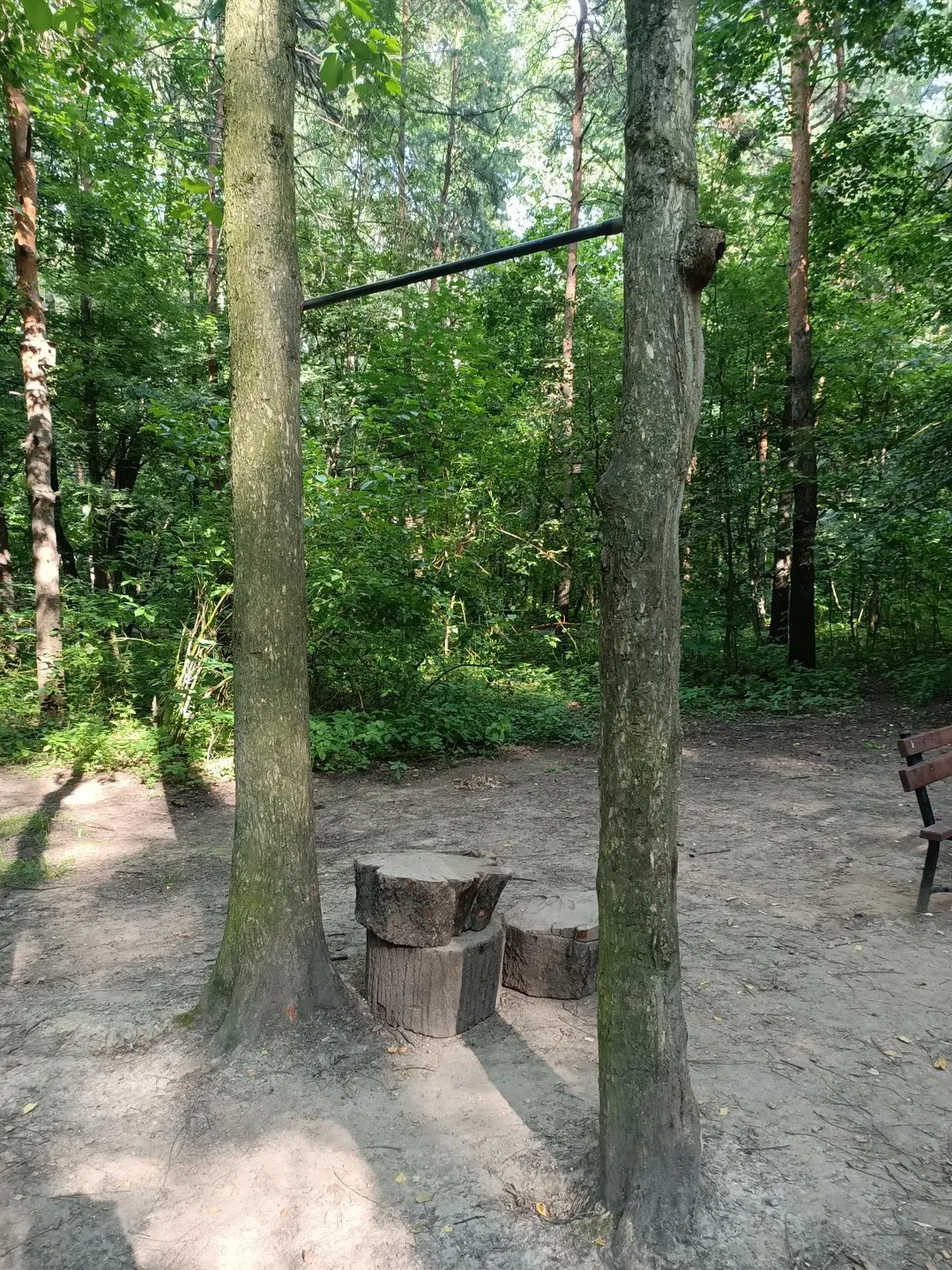 Barre de traction à Calisthenics Park at улица Доктора Гааза, Москва #wp3057 – photo 1 sur 3