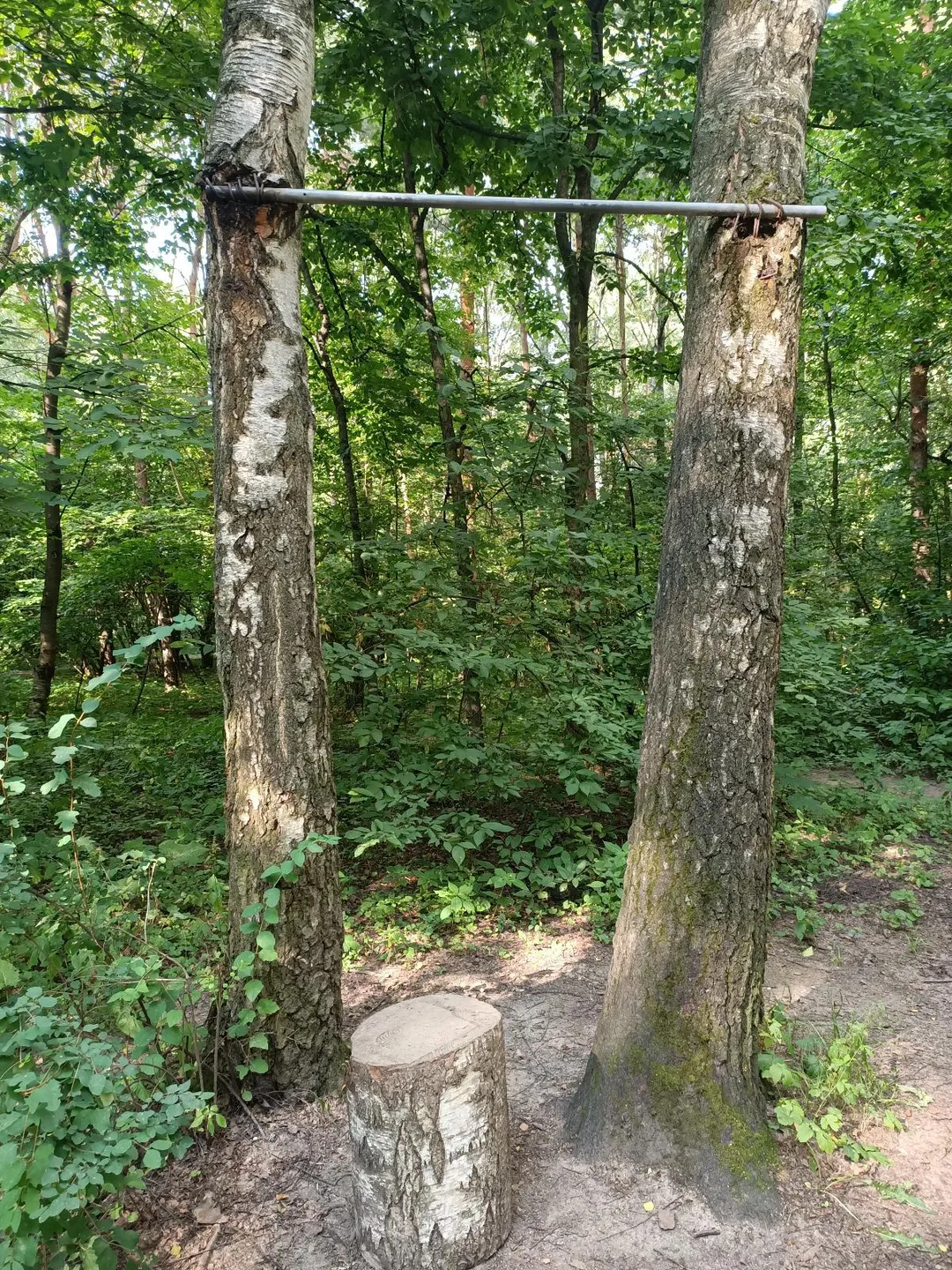 Barres parallèles à Calisthenics Park at улица Доктора Гааза, Москва #wp3057 – photo 2 sur 3