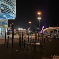 Calisthenics Park at Триумфальный проезд, городской округ Сириус - thumbnail 3