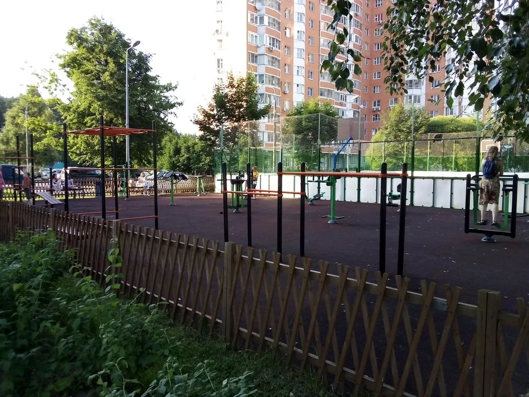 Sbarra per trazioni presso Calisthenics Park at 2-й Красковский проезд, Москва – foto 1 di 1