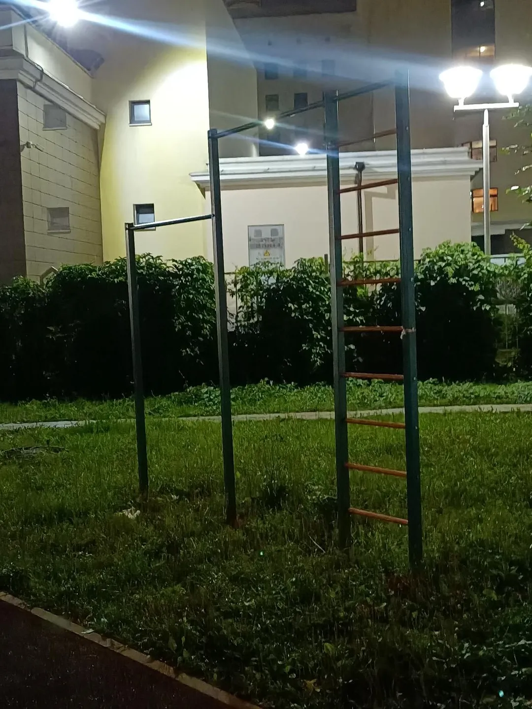 Spalier la Calisthenics Park at улица Покрышкина, Москва – fotografia 3 din 3