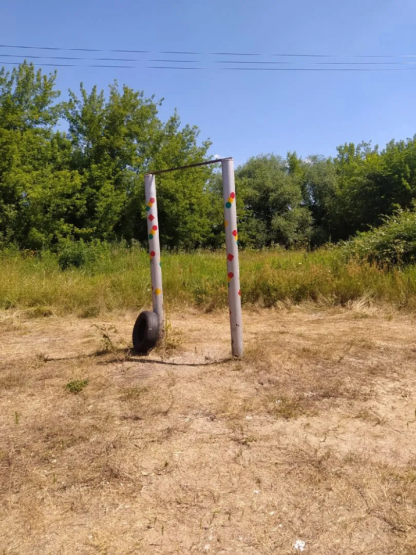 Pull Up Bar at Calisthenics Park at Белопесоцкая улица, Ступино – photo 1 of 1