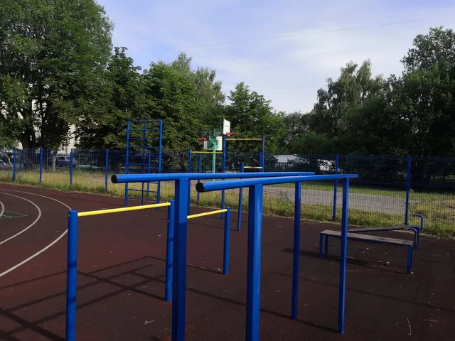 Calisthenics Park at Новая улица, Светлогорск