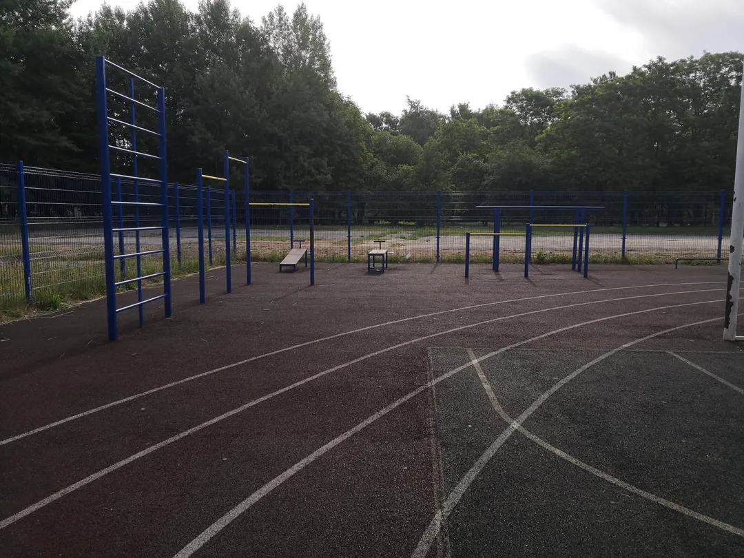 Maniglie per piegamenti presso Calisthenics Park at Новая улица, Светлогорск – foto 2 di 3