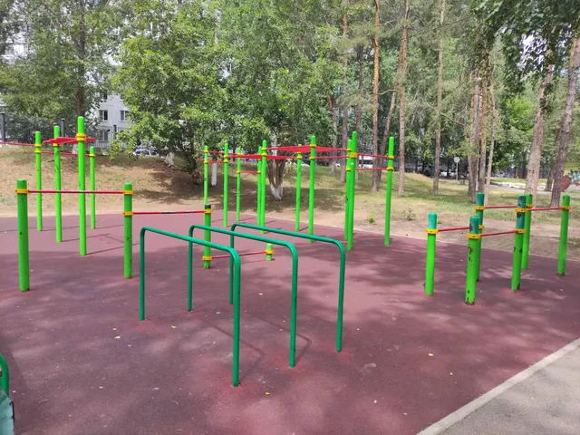 Calisthenics Park at улица Космодемьянской, городской округ Тольятти #wp3079