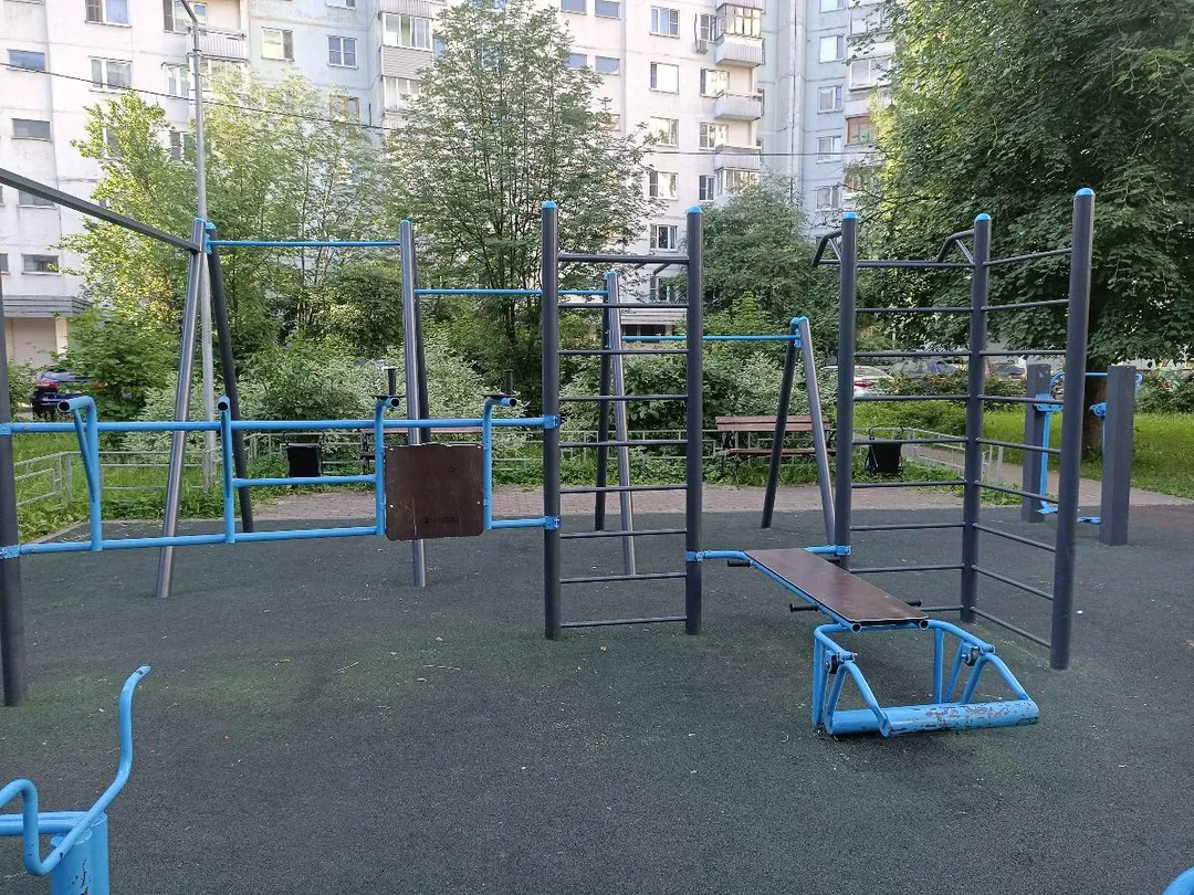 Spalier la Calisthenics Park at улица Академика Анохина, Москва #wp3095 – fotografia 3 din 4