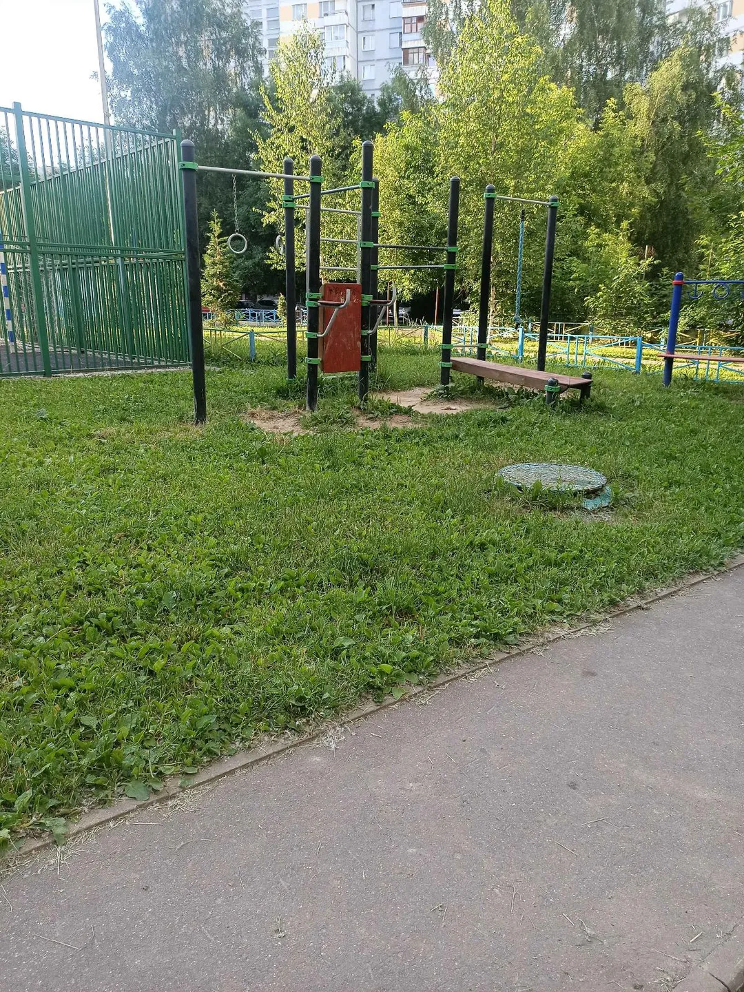 Gymnastic Rings at Calisthenics Park at Тропарёвская улица, Москва #wp3098 – photo 5 of 6